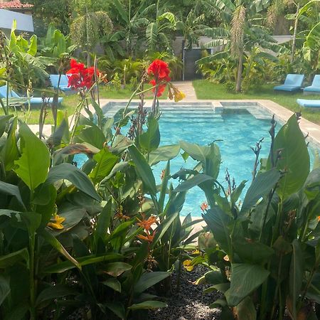 Hotel Good Life Coco Exterior foto